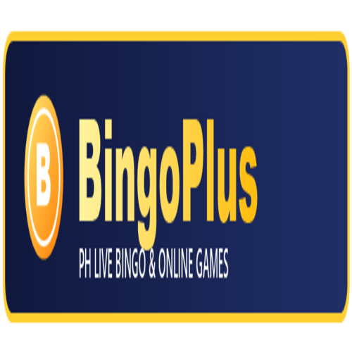 bingoplusfit
